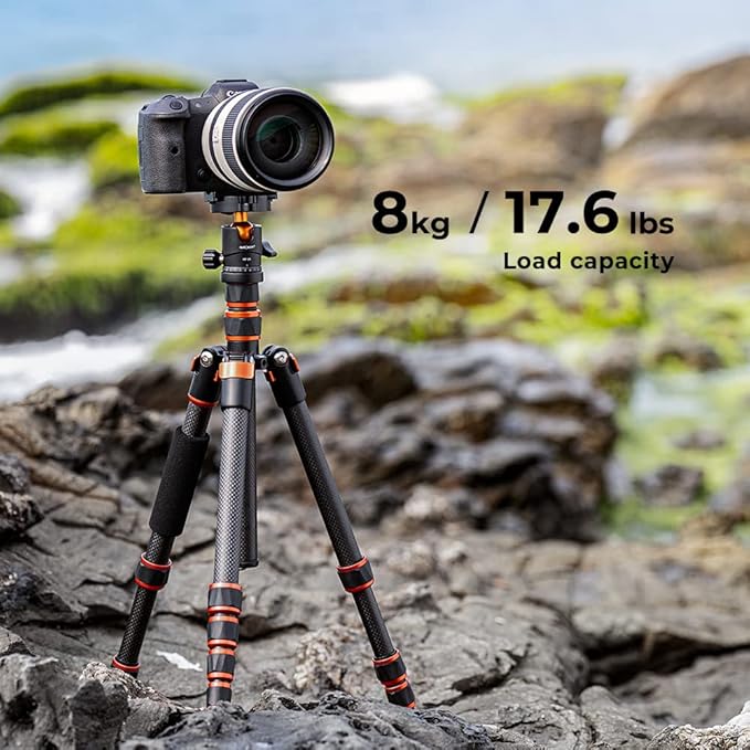 K&F Concept 60 inch Carbon Fiber Camera Tripod,Lightweight Compact Tripod with 360 Degree Ball Head,Quick Release Plate,Detachable Monopod 8KG Load Capacity for SLR DSLR C225C0+BH-25 (BA225)